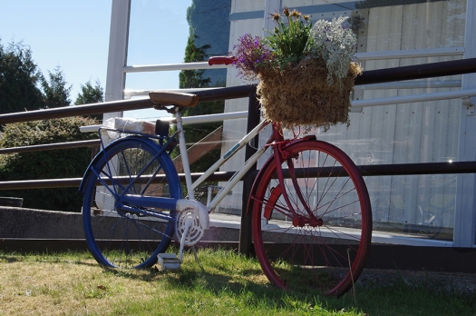 bike